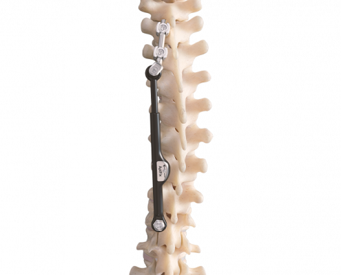 ApiFix Skeleton